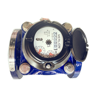 Đồng hồ đo nước thải Merlion DN80