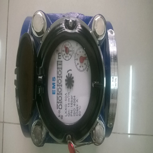 Đồng hồ đo nước EMS Đài Loan