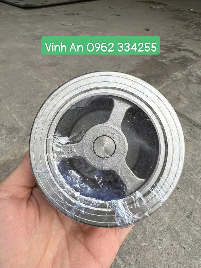 Van 1 chiều cối inox 304 PN25