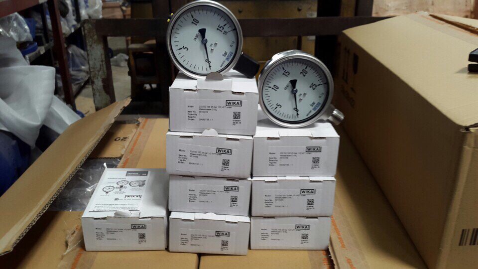 Đồng hồ áp suất wika model 232.50 mặt 100