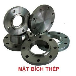 Mặt bích thép DN200- bích rỗng- bích đặc