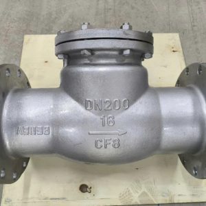 Van 1 chiều lá lật inox DN200 CF8M phi 219 mm – 8 inch